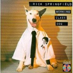 Rick Springfield : Working Class Dog